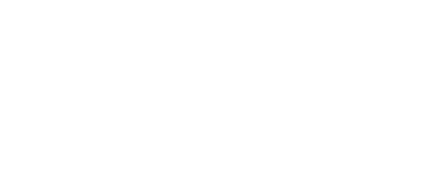 The HVN