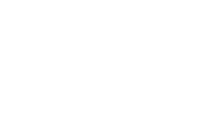 The HVN